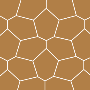 Das Turtle-Muster von Cinzento Custom Made®.